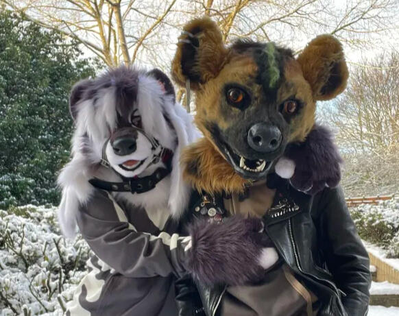 Eris and Stoat 1 A selfie of two people wearing fursuits. On the left is a grey and white skunk fursuit head. On the right is a realistic hyena with a green mohawk and piercings.